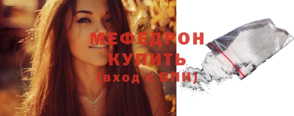 индика Нязепетровск