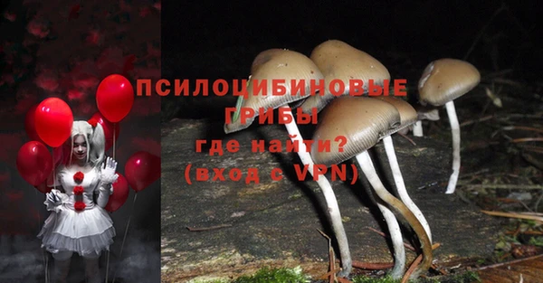 мдпв Верхнеуральск